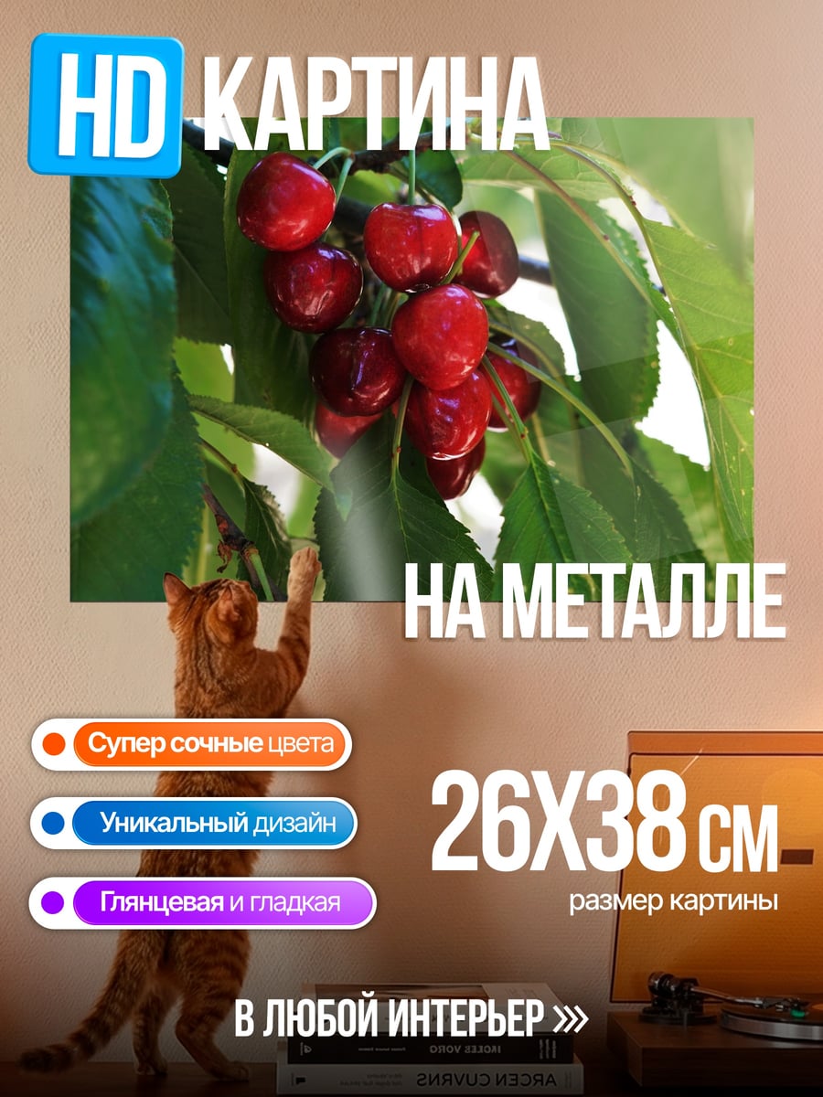 Картина на металле вишня на ветке