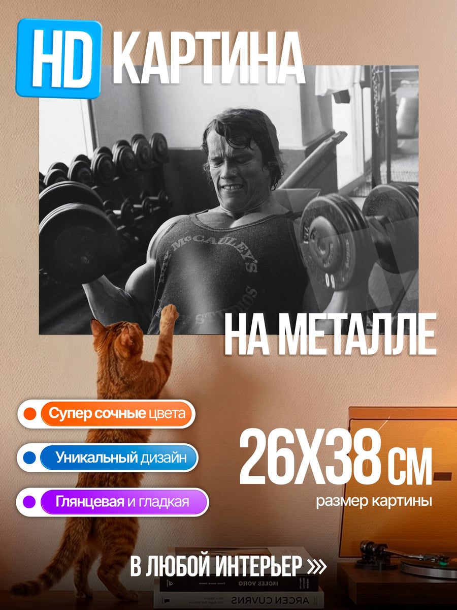 Картина на металле Арнольд Шварценеггер