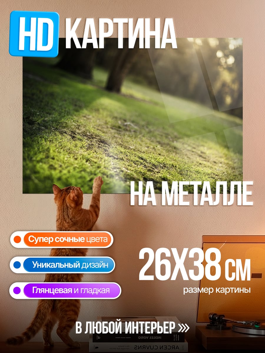 Картина на металле Солнечные лучи на траве