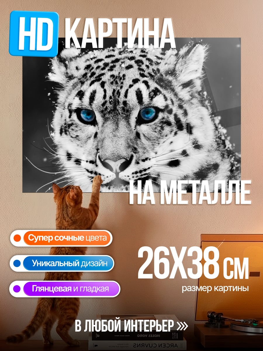 Картина на металле снежный барс синие глаза