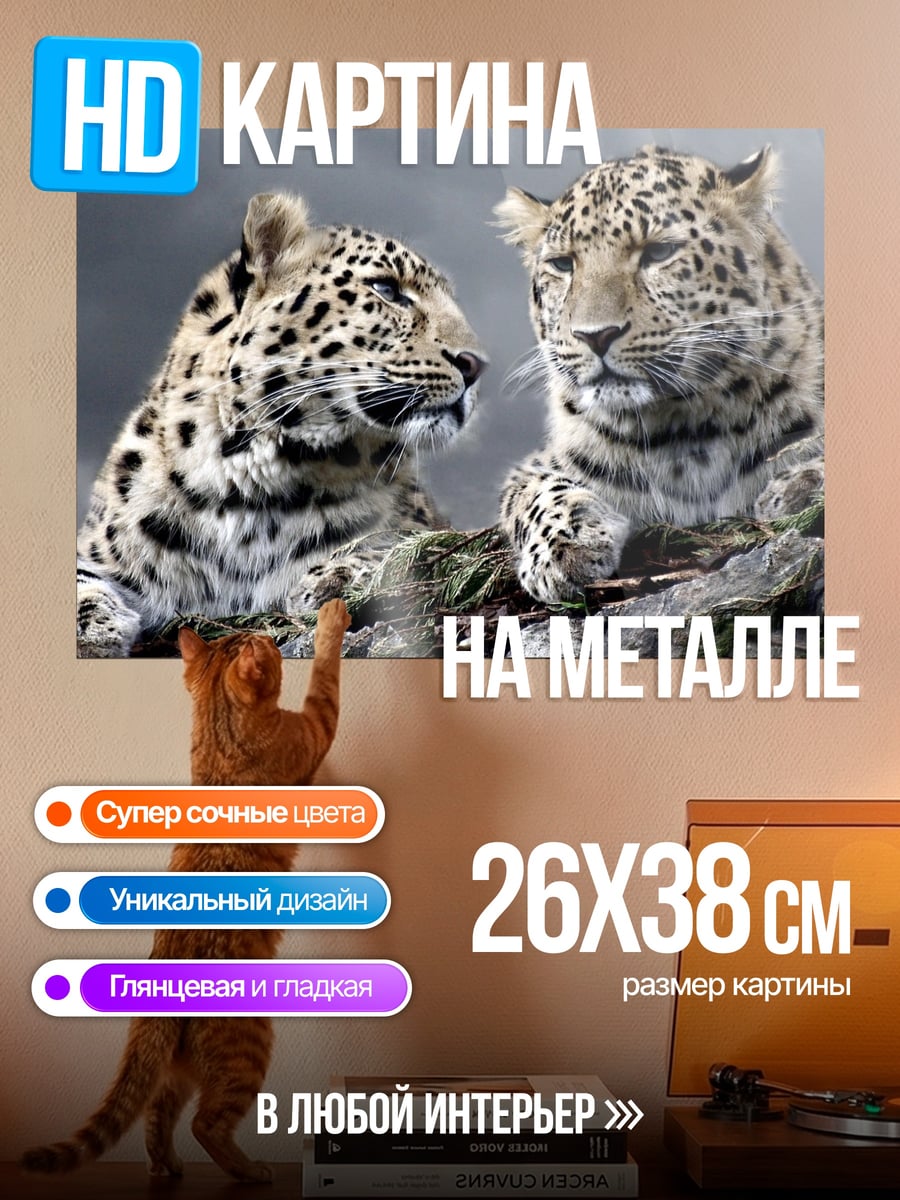 Картина на металле Два леопарда на скалах