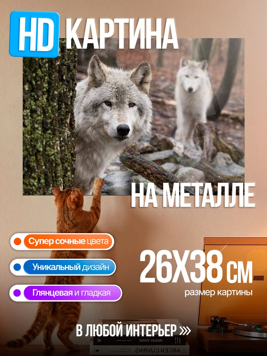 Картина на металле Два волка в лесу
