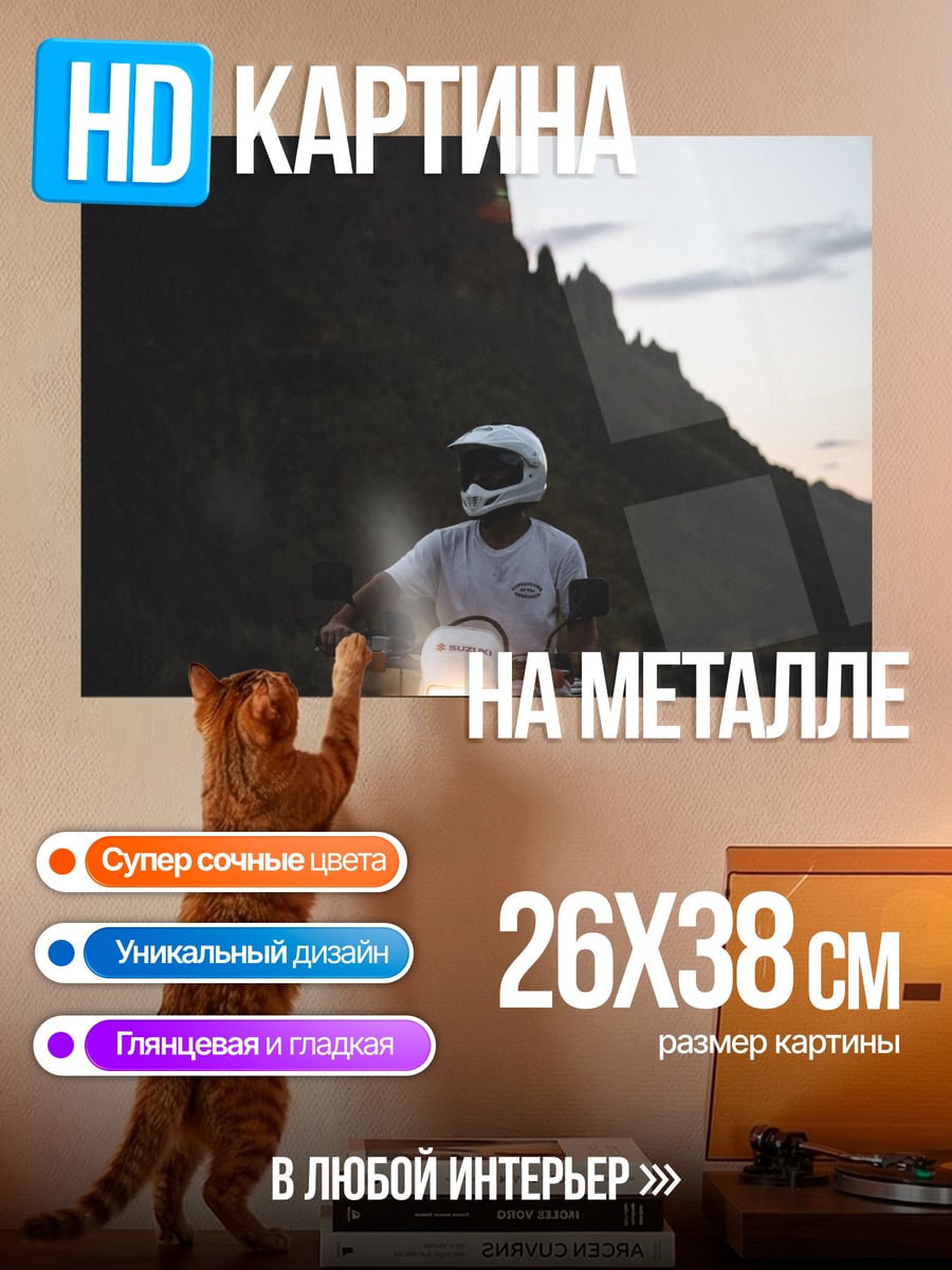 Картина на металле Мотоциклист в горах
