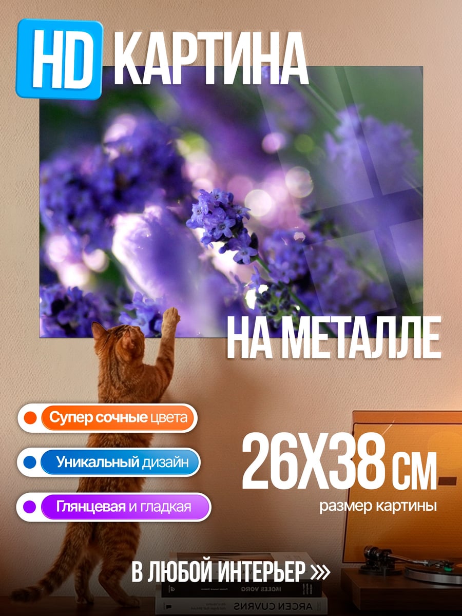 Картина на металле Лавандовое поле