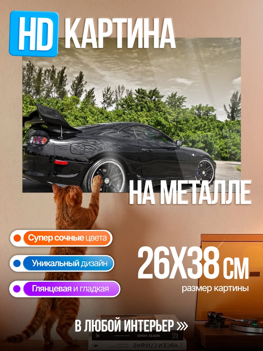 Картина на металле Черный спорткар