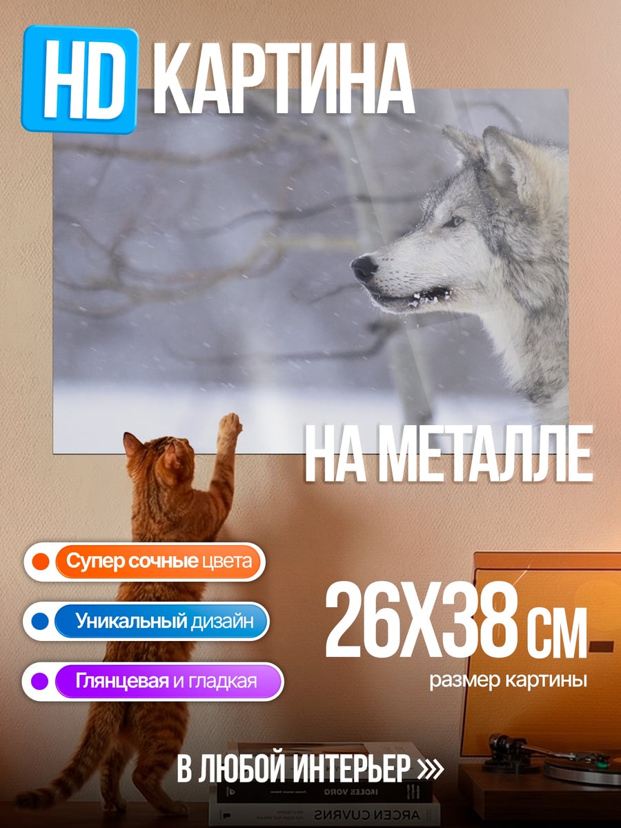 Картина на металле Зимний волк