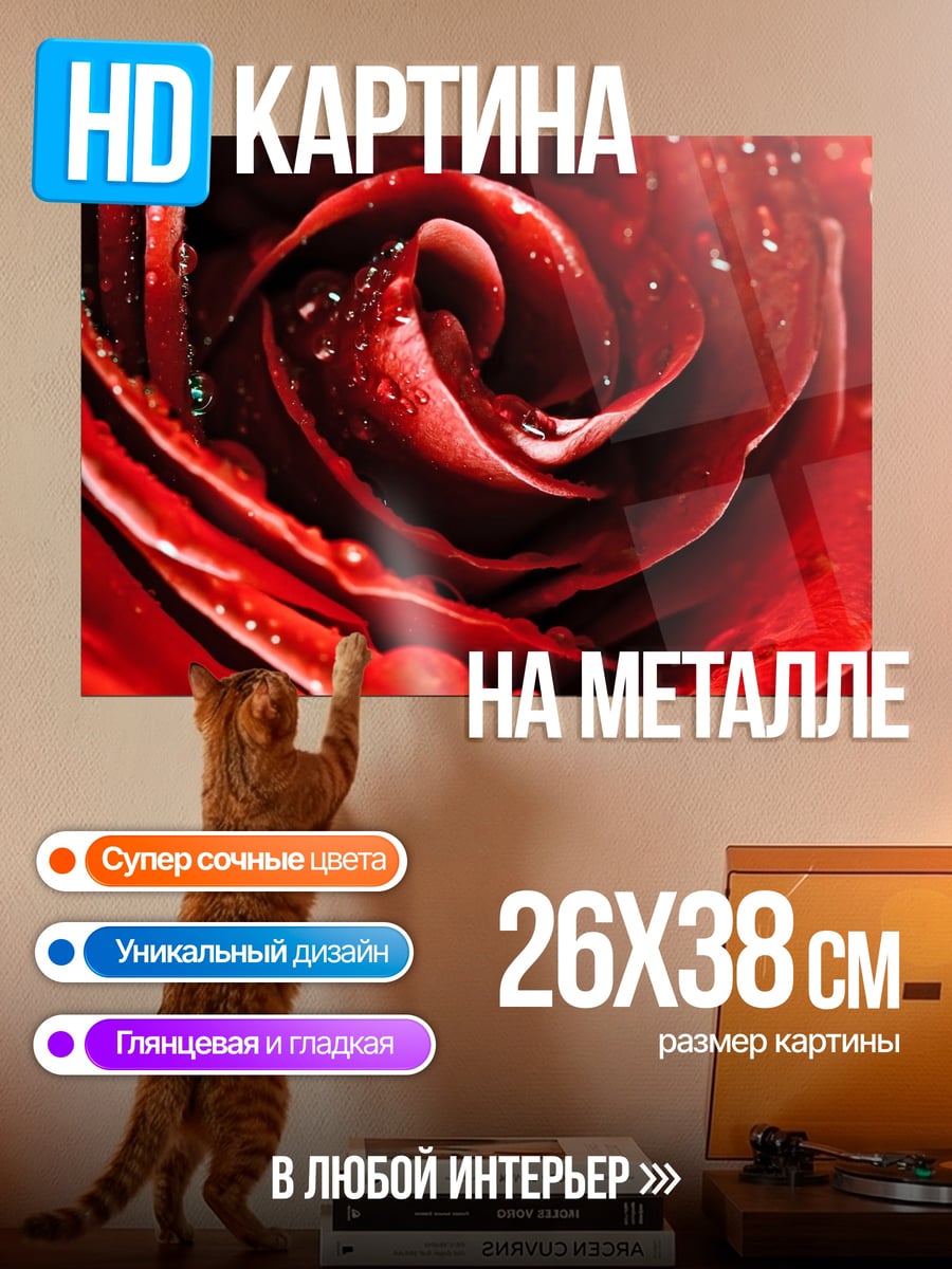 Картина на металле Красная роза каплями