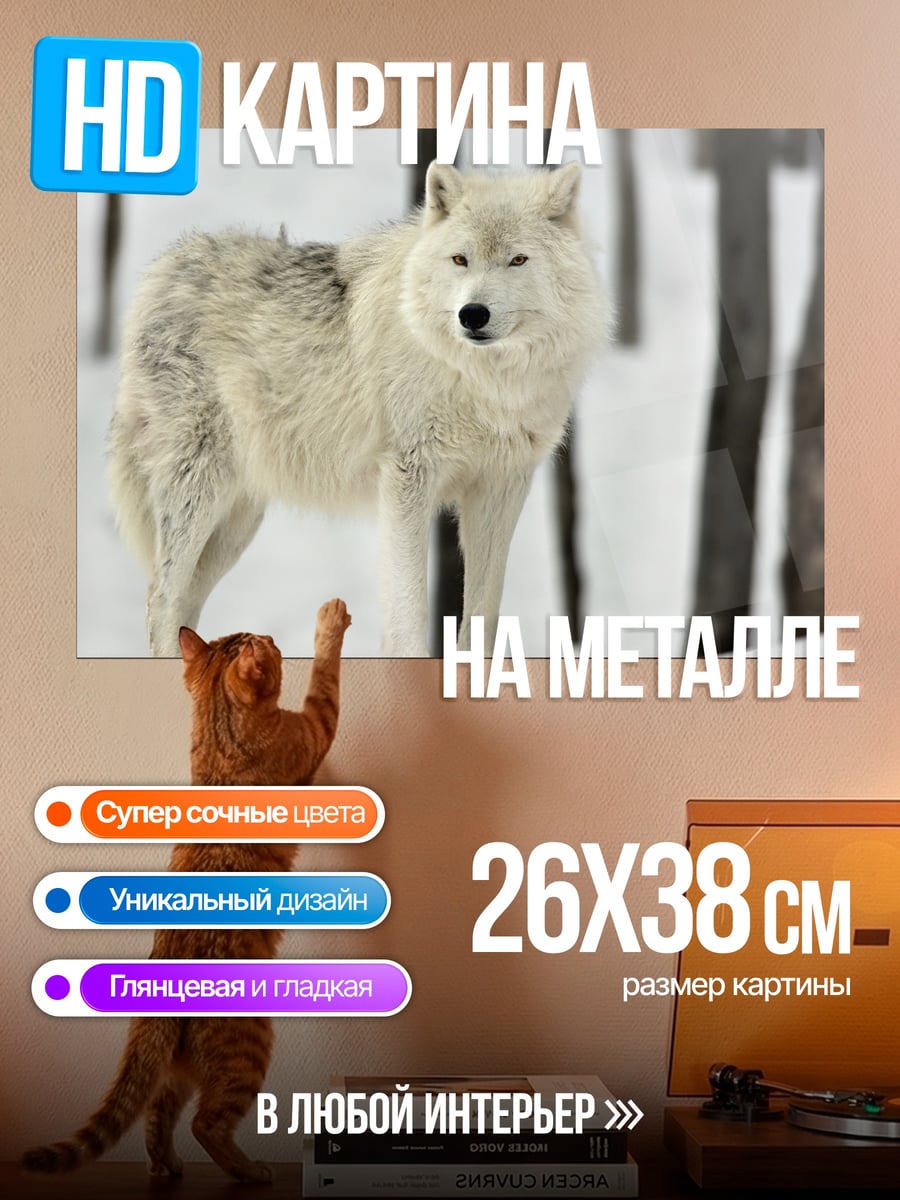 Картина на металле Белый волк зима