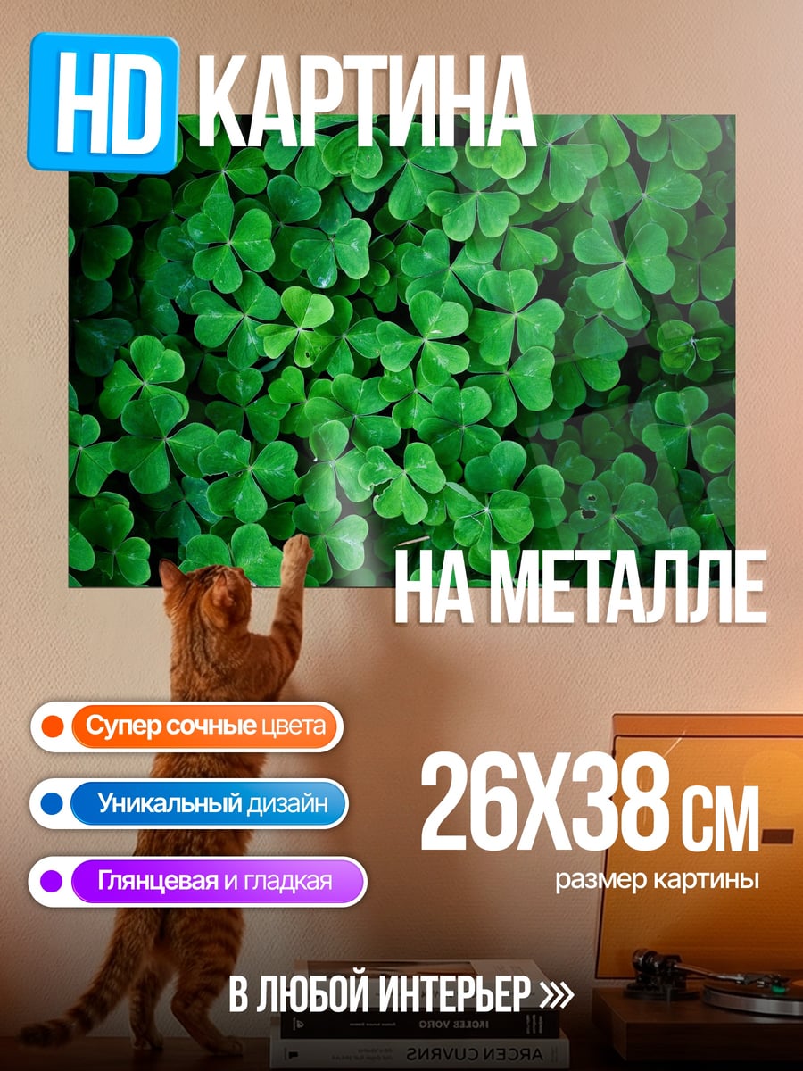 Картина на металле Зеленый клевер