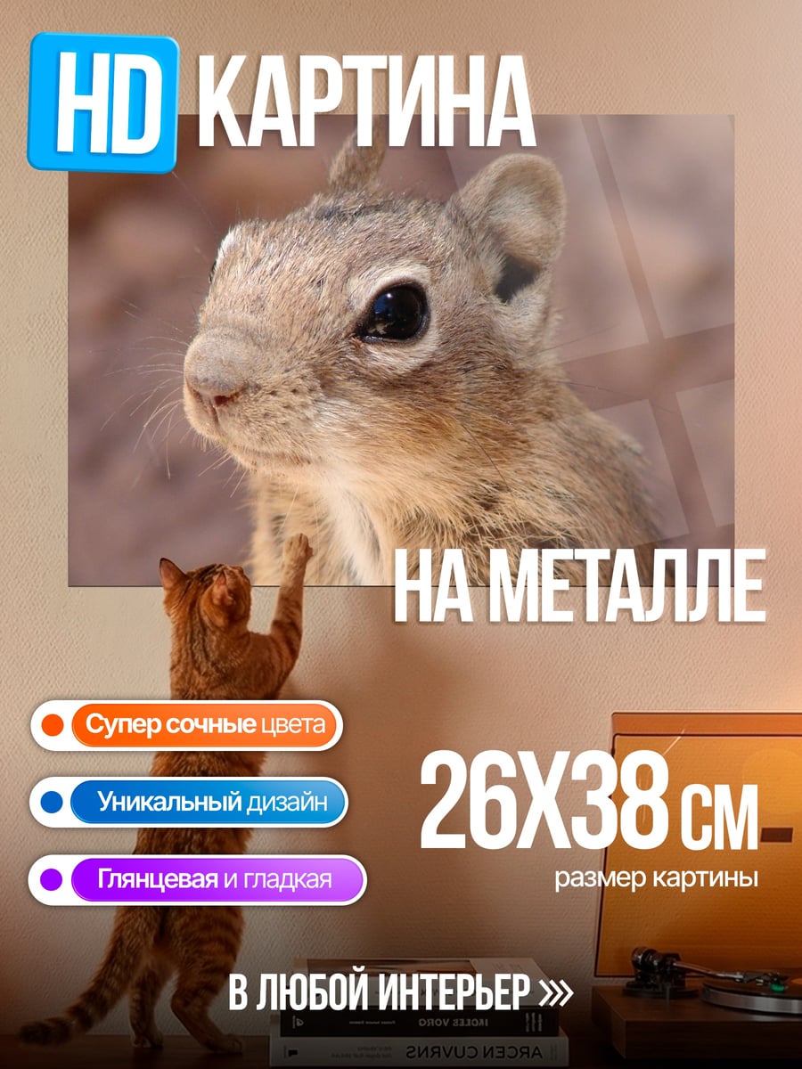 Картина на металле Бурундук крупным планом