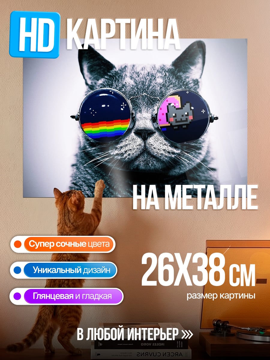 Картина на металле Кот в очках