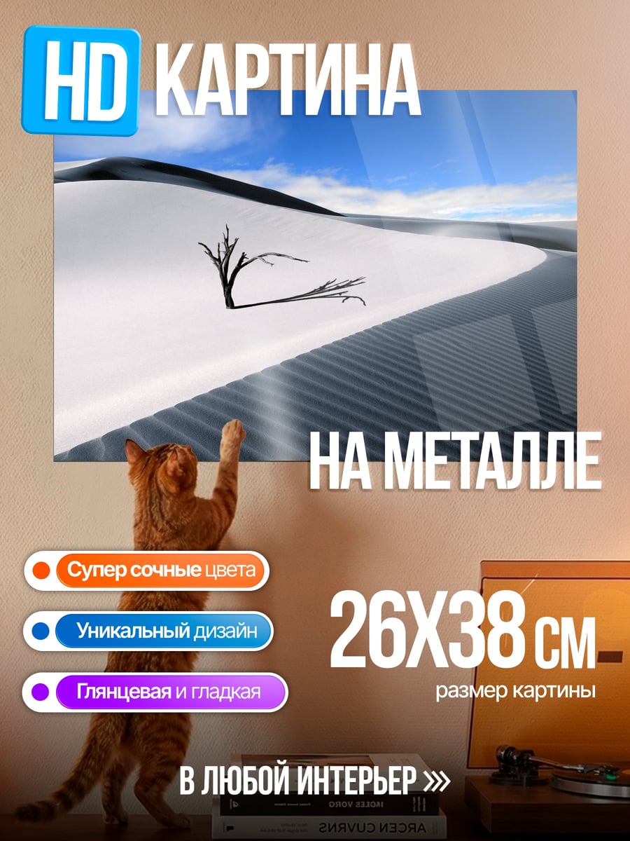 Картина на металле Пустынный пейзаж