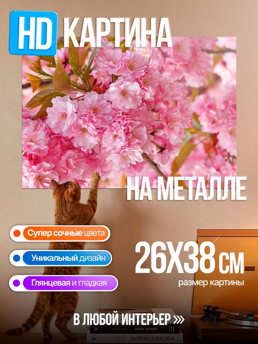 Картина на металле Цветущая сакура
