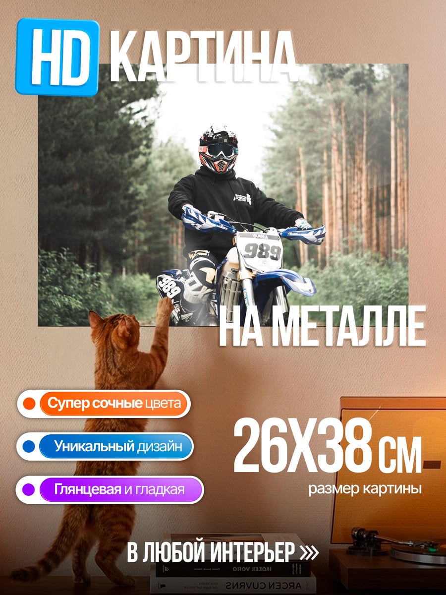 Картина на металле мотоциклист в лесу