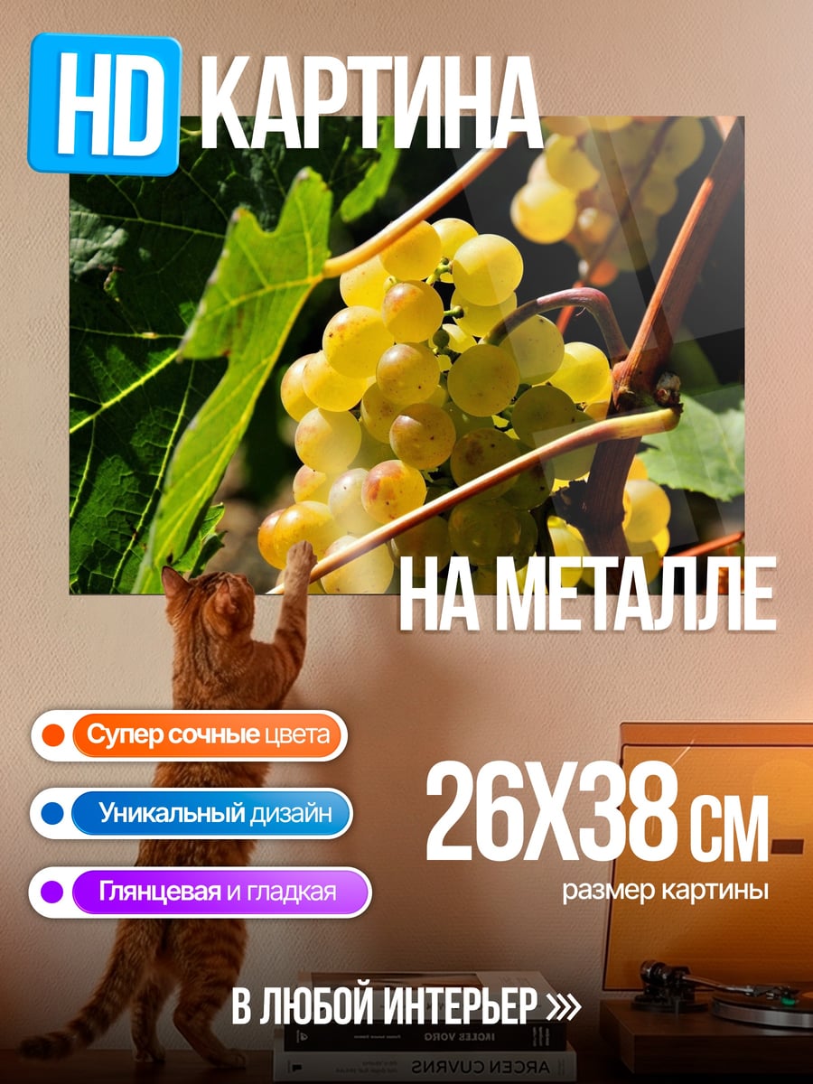 Картина на металле белый виноград