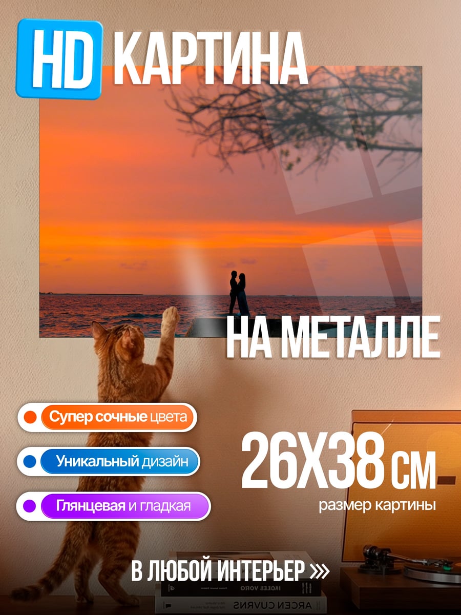Картина на металле Пара на закате