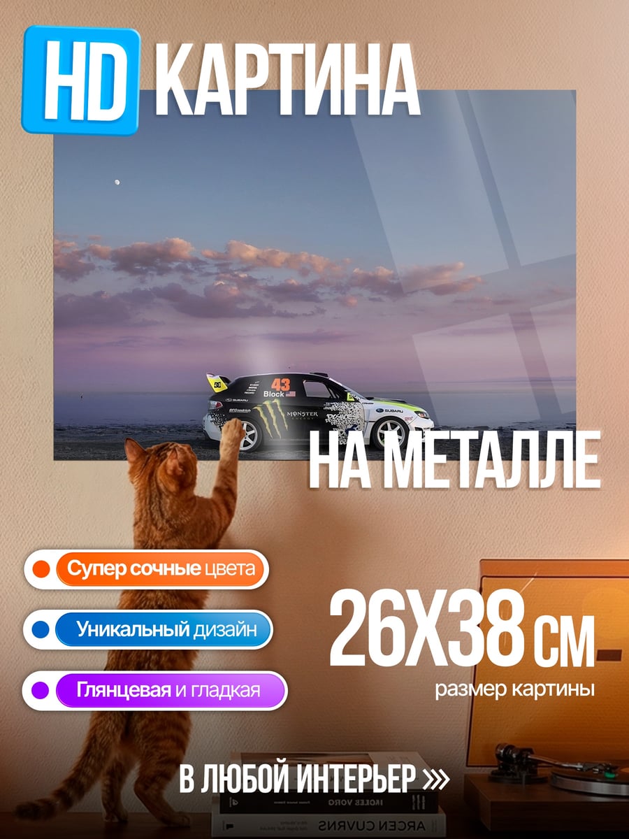 Картина на металле Гоночный автомобиль