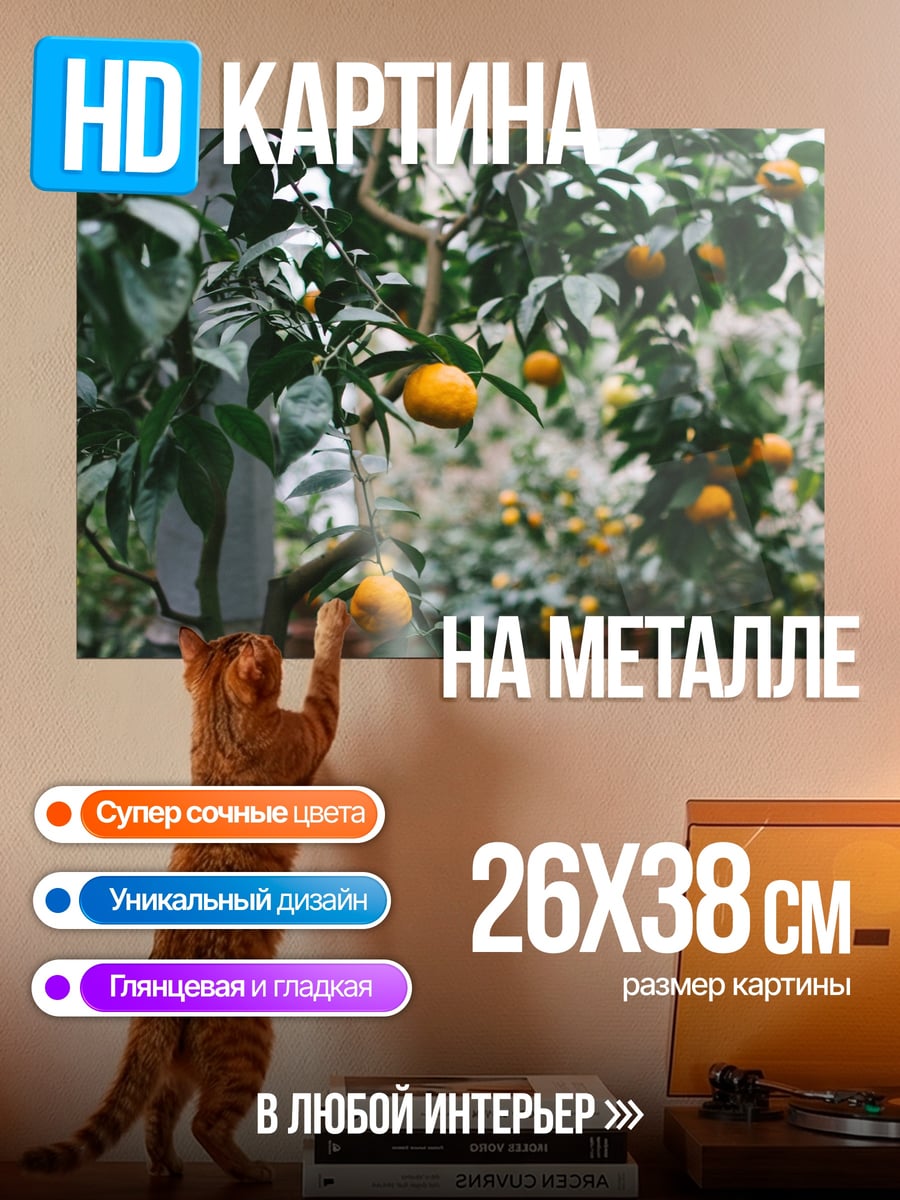 Картина на металле Мандариновое дерево в саду