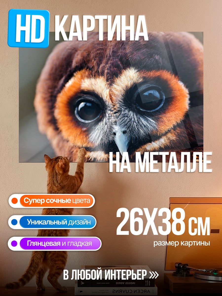 Картина на металле Крупный план совы