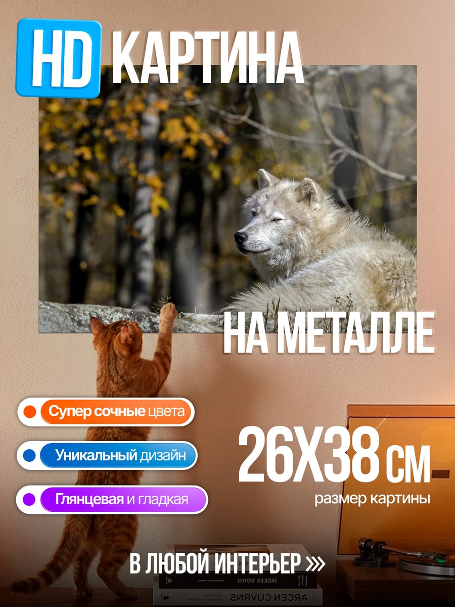 Картина на металле Белый волк осенью
