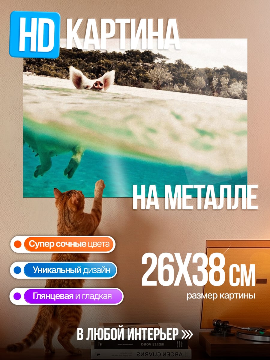 Картина на металле Плывущая свинья