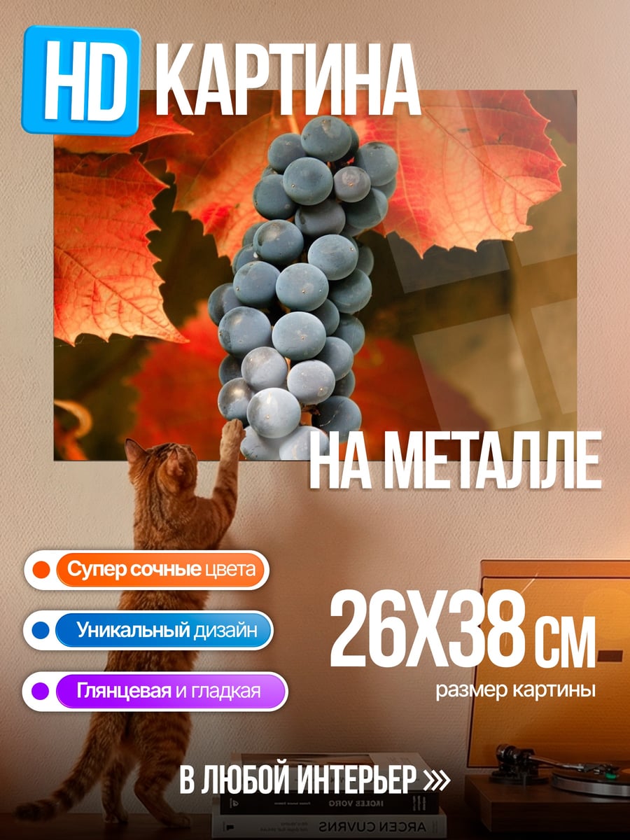 Картина на металле Гроздь винограда