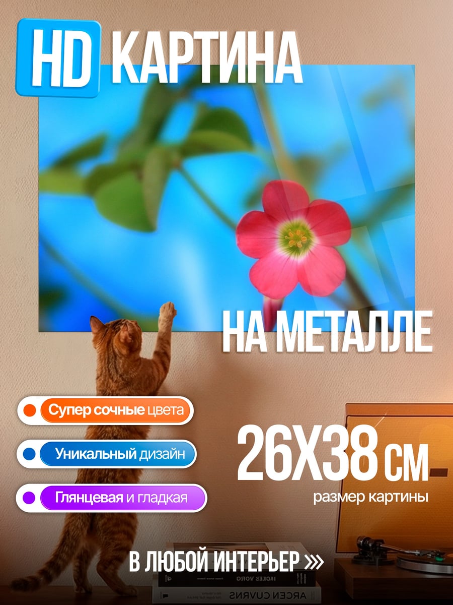 Картина на металле Розовый цветок на синем