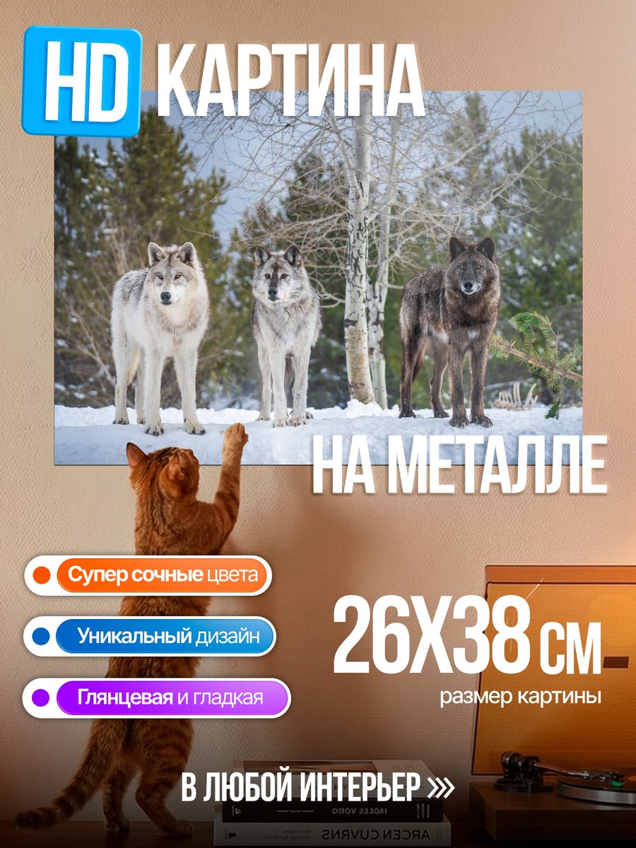 Картина на металле три волка в снегу