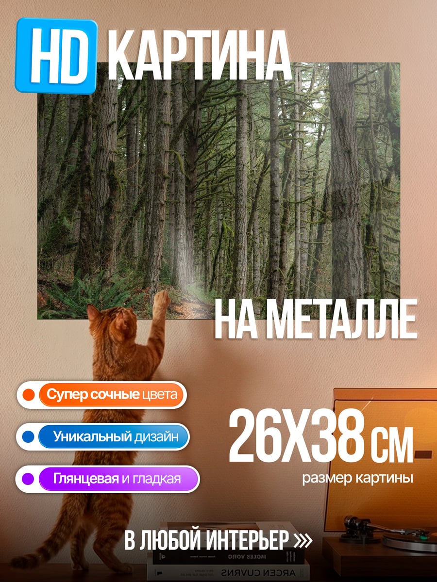 Картина на металле тропа в лесу