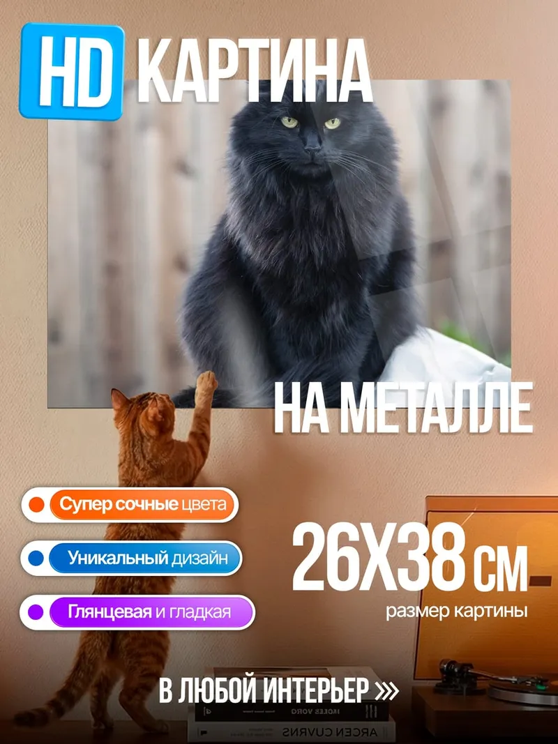 Картина на металле Черный кот