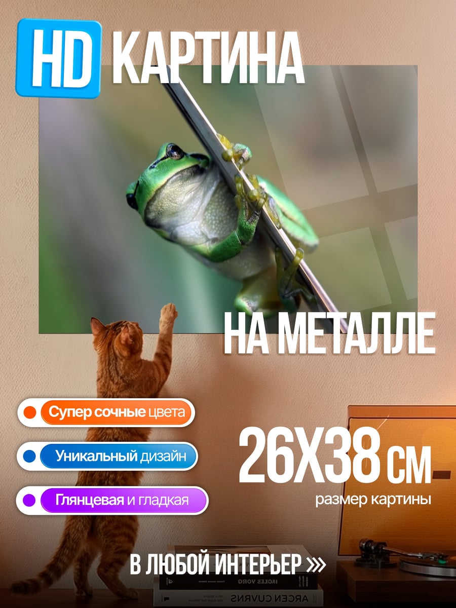 Картина на металле Зеленая лягушка на ветке