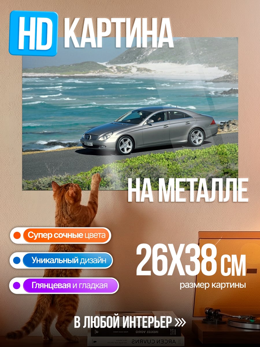 Картина на металле Серебристый седан у моря