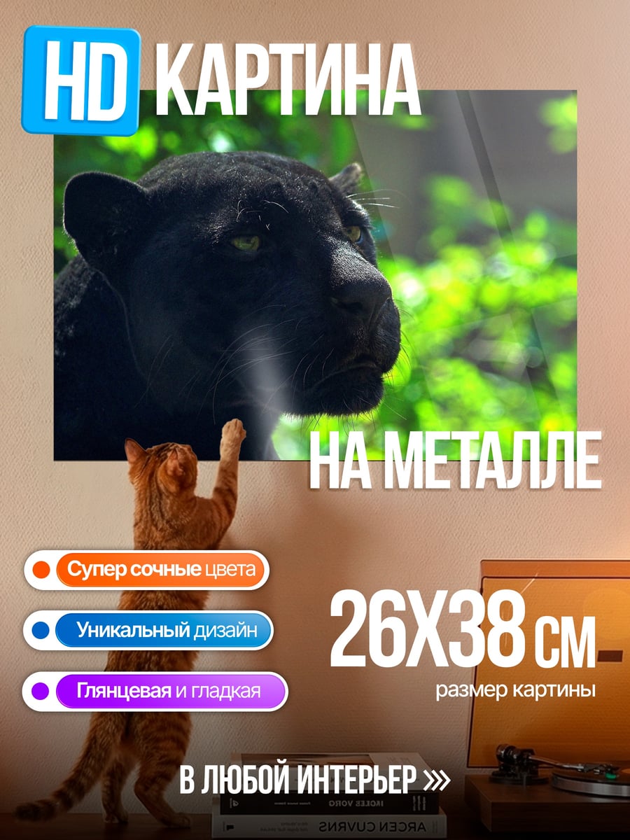 Картина на металле Черная пантера джунгли