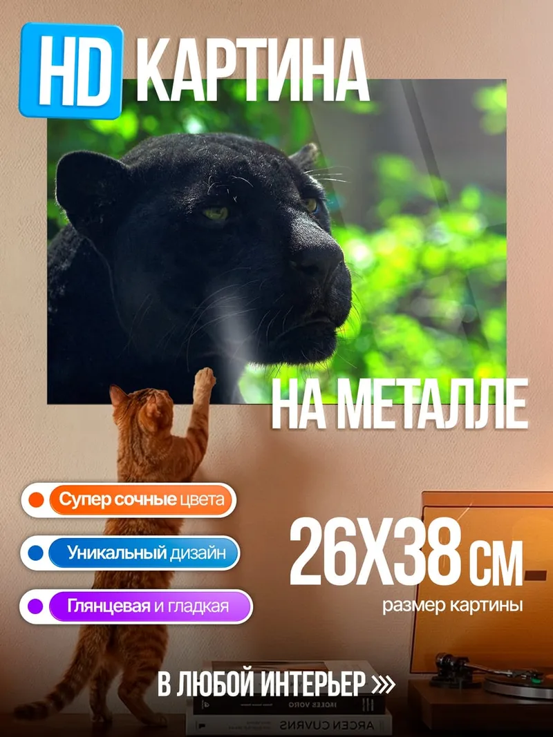 Картина на металле Черная пантера джунгли