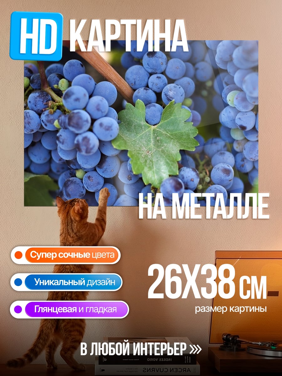 Картина на металле Гроздь винограда