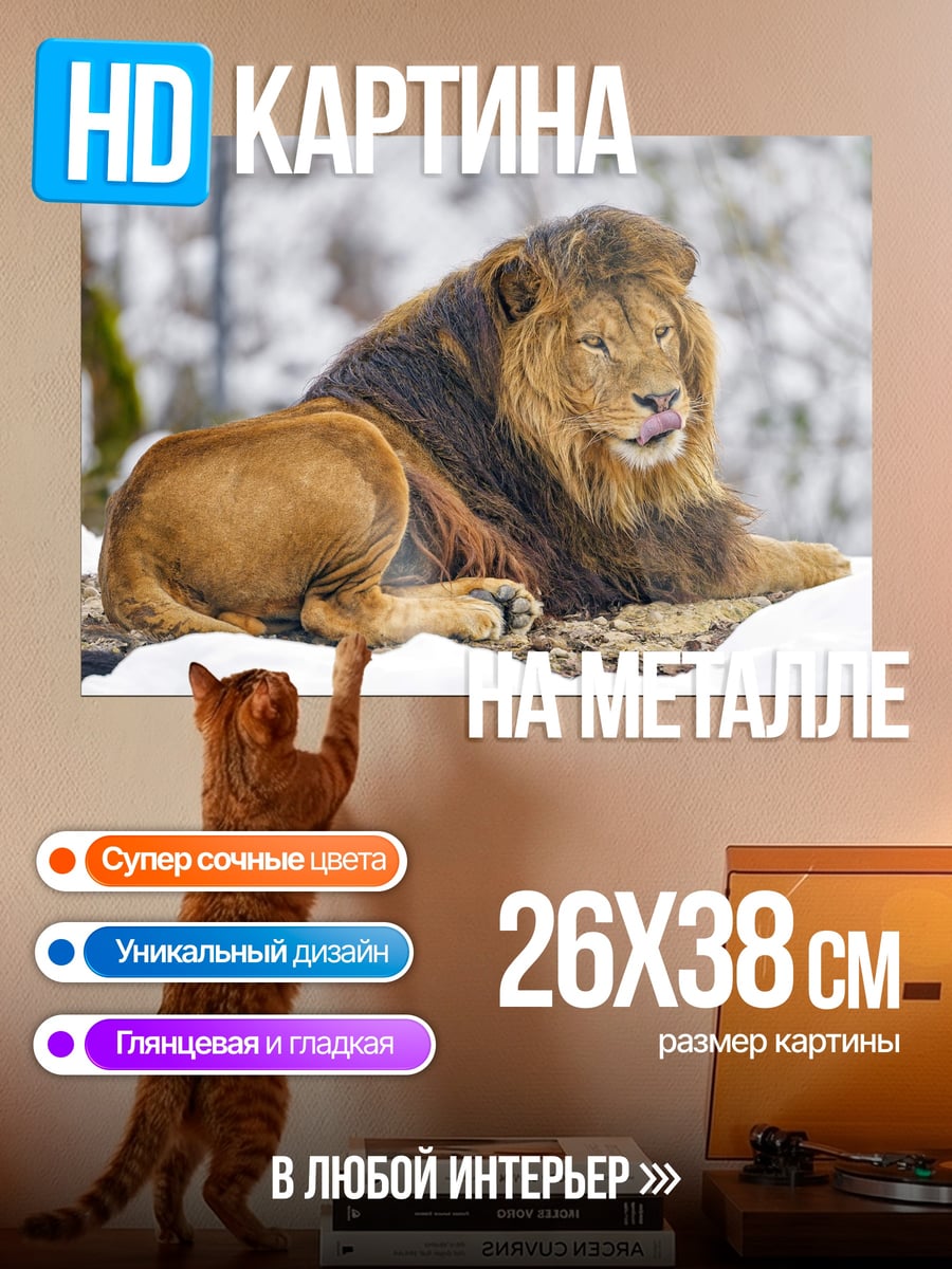 Картина на металле Лев в снегу