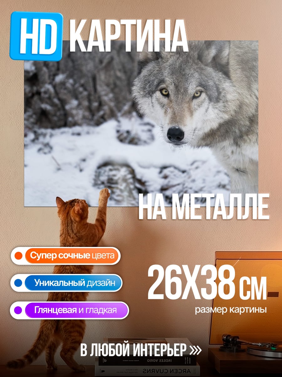 Картина на металле Волк в снегу