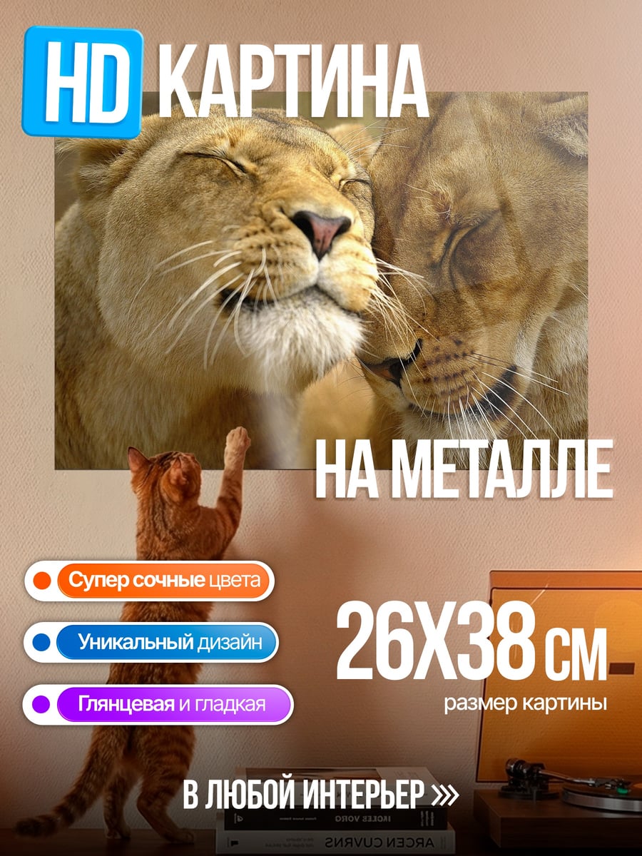 Картина на металле Львиная нежность