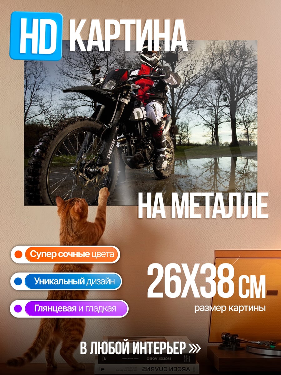 Картина на металле Мотоциклист на трассе