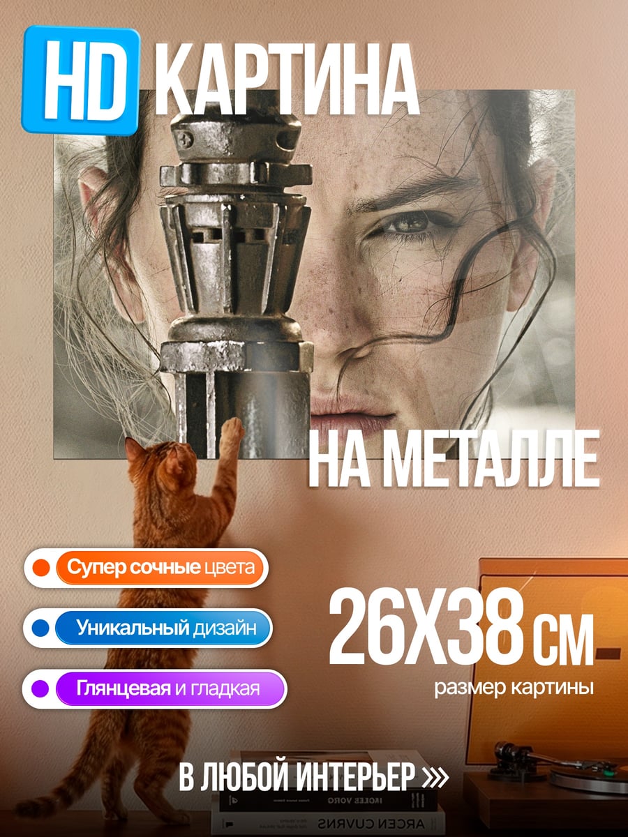 Картина на металле Рей из Звёздных Войн