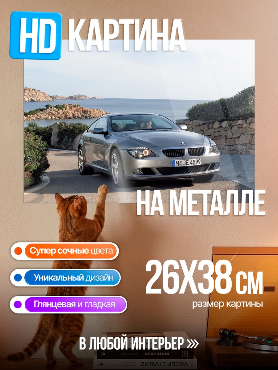Картина на металле Спортивное купе у моря