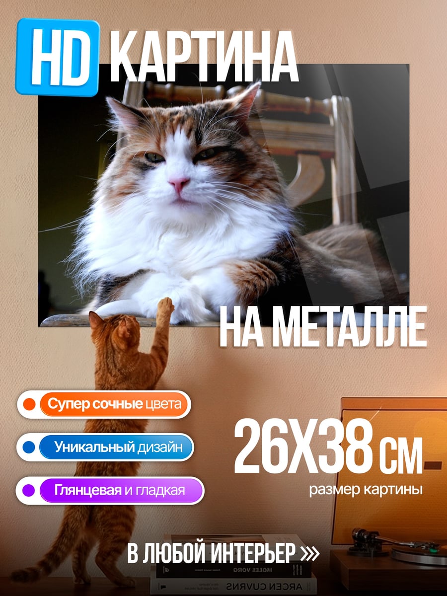 Картина на металле Пушистый кот на стуле