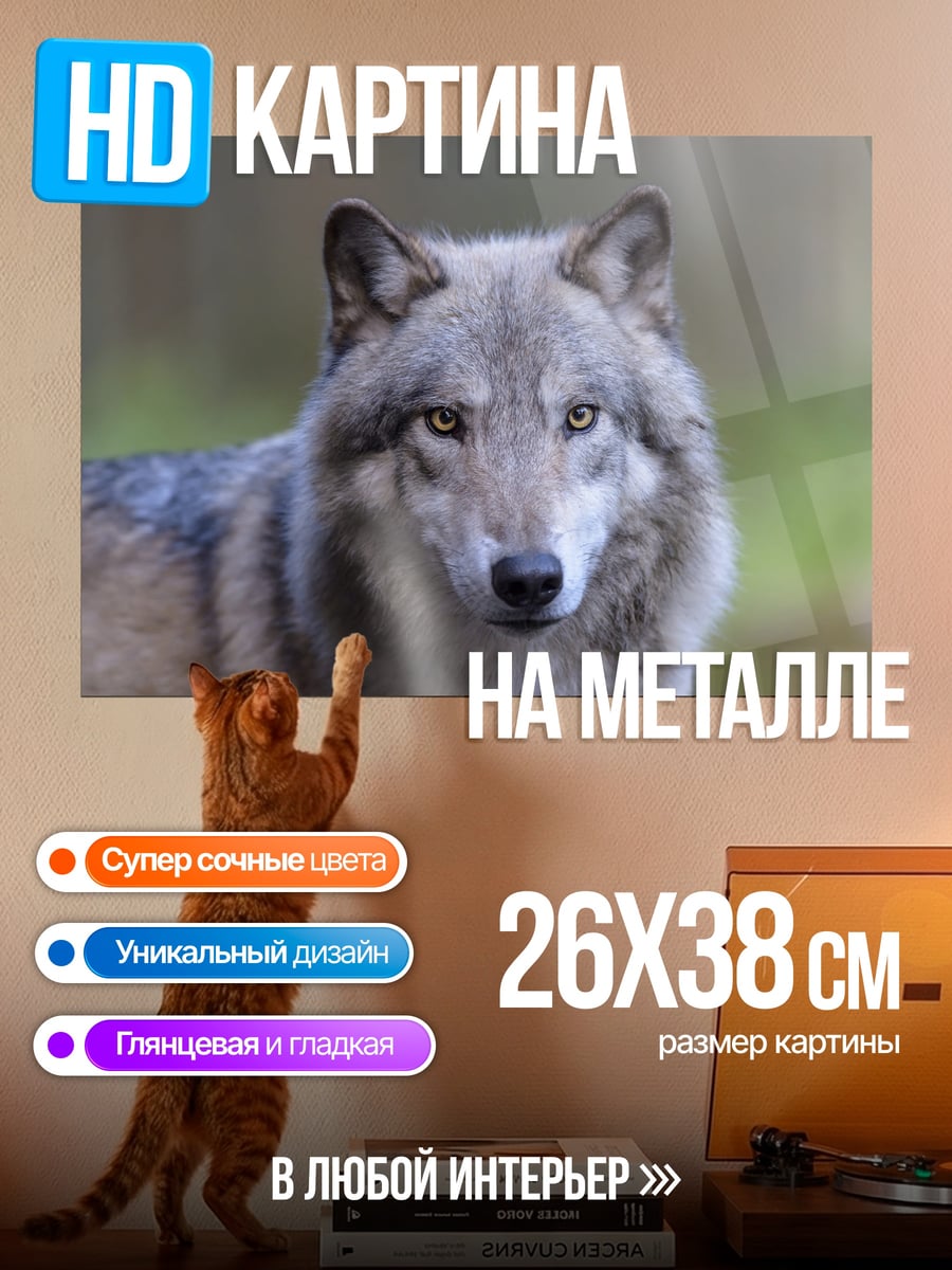 Картина на металле Портрет волка