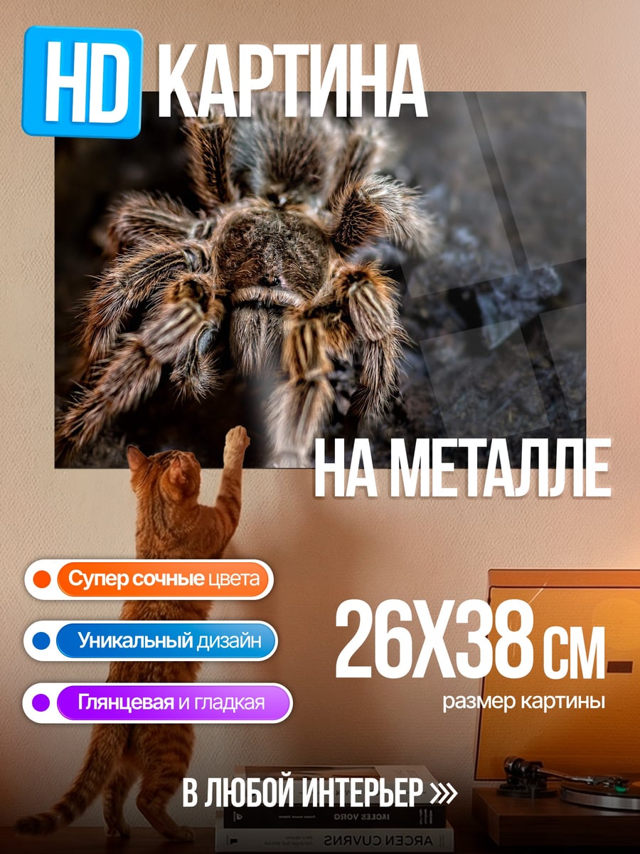Картина на металле Тарантул на камне
