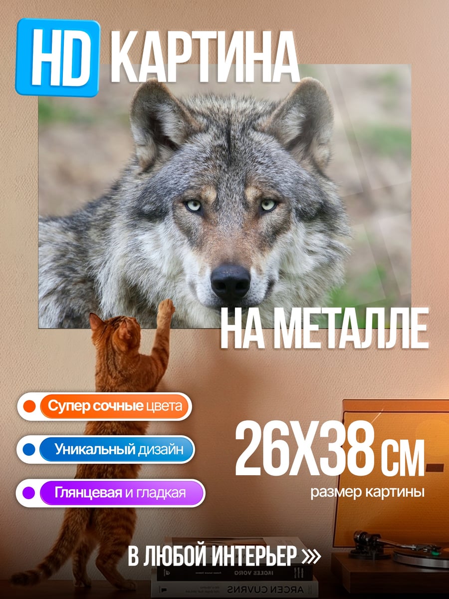 Картина на металле Портрет волка