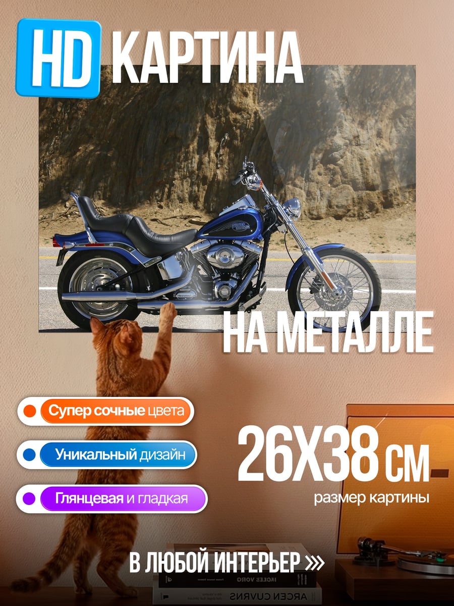 Картина на металле Чоппер на дороге