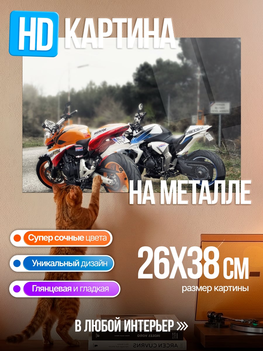 Картина на металле Два мотоцикла на дороге