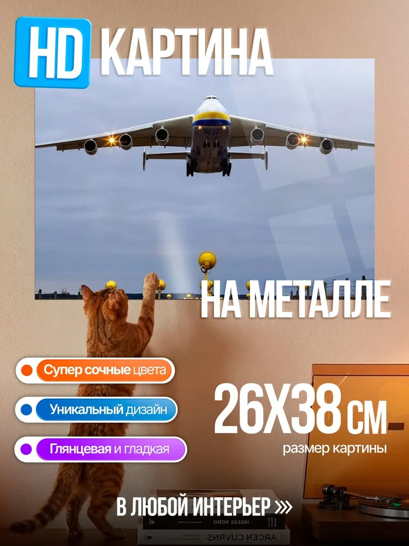Картина на металле Самолёт Ан-225