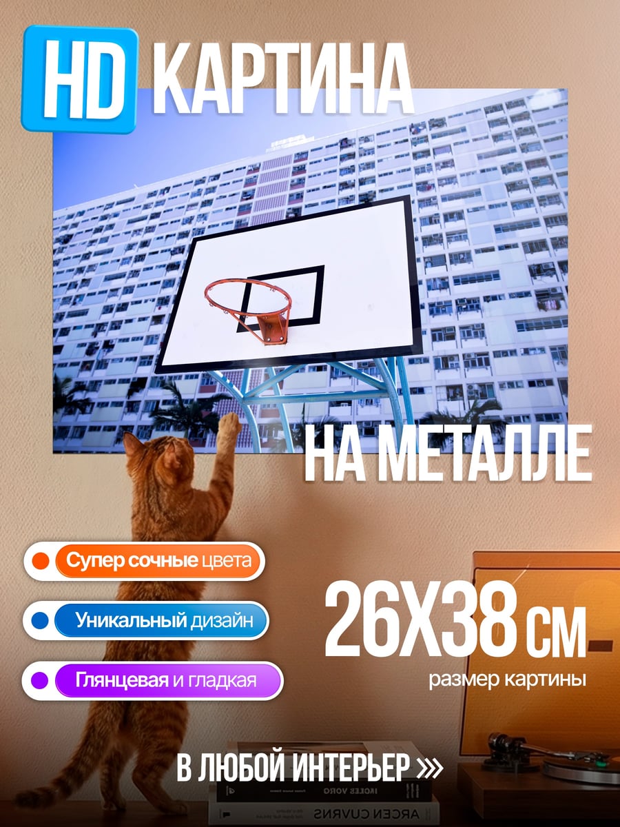 Картина на металле Баскетбольная площадка