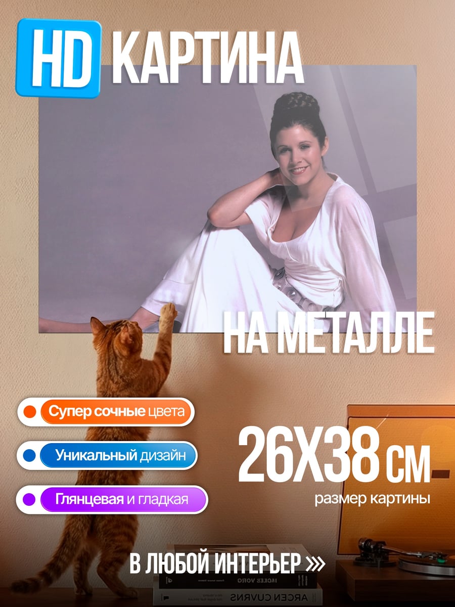 Картина на металле Принцесса Лея